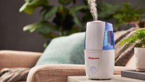 Well at Walgreens Personal Humidifier Review