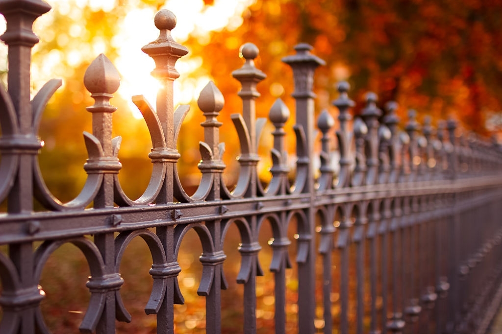 Wrought Iron Fence Ideas