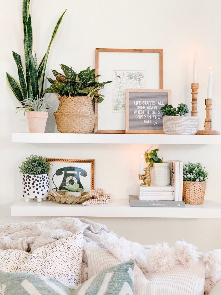 Wall Shelves Ideas