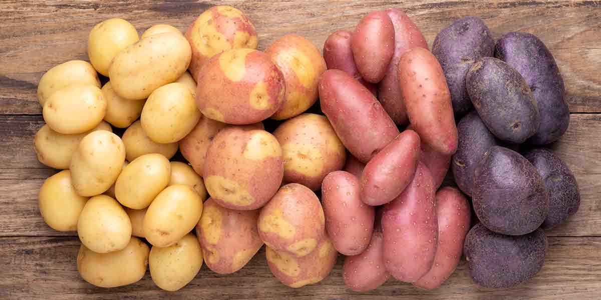 How to Grow Potatoes