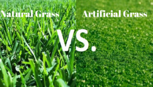 Natural Grass vs. Artificial Grass: Pros & Cons: Costs & Benefits