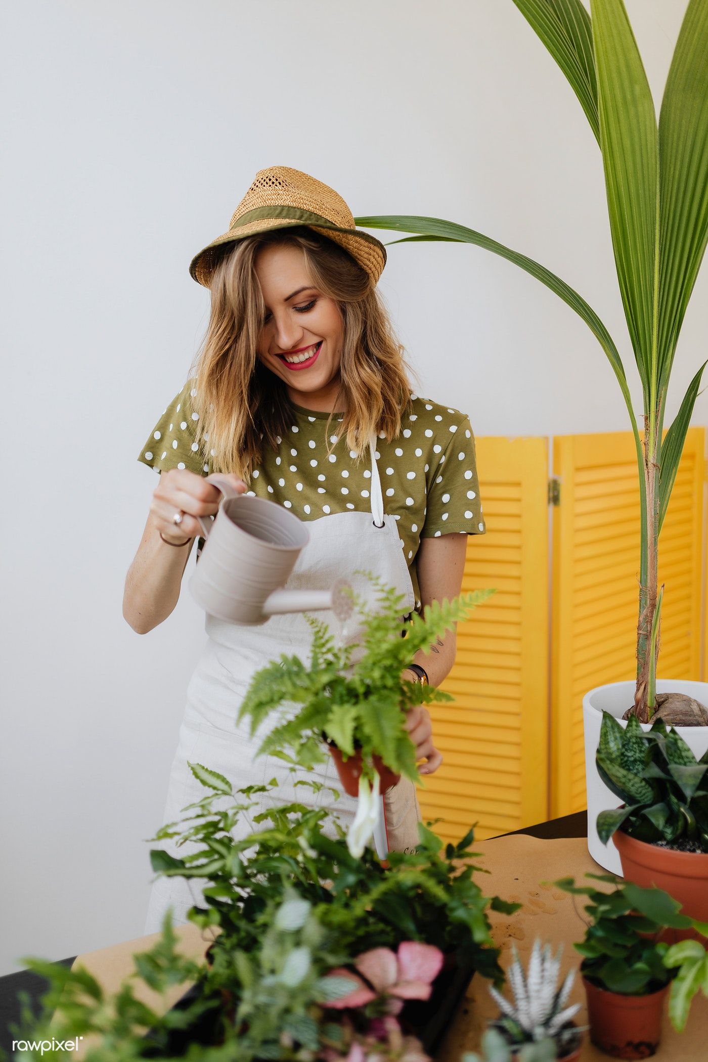 Mistakes to Avoid with Indoor Plants