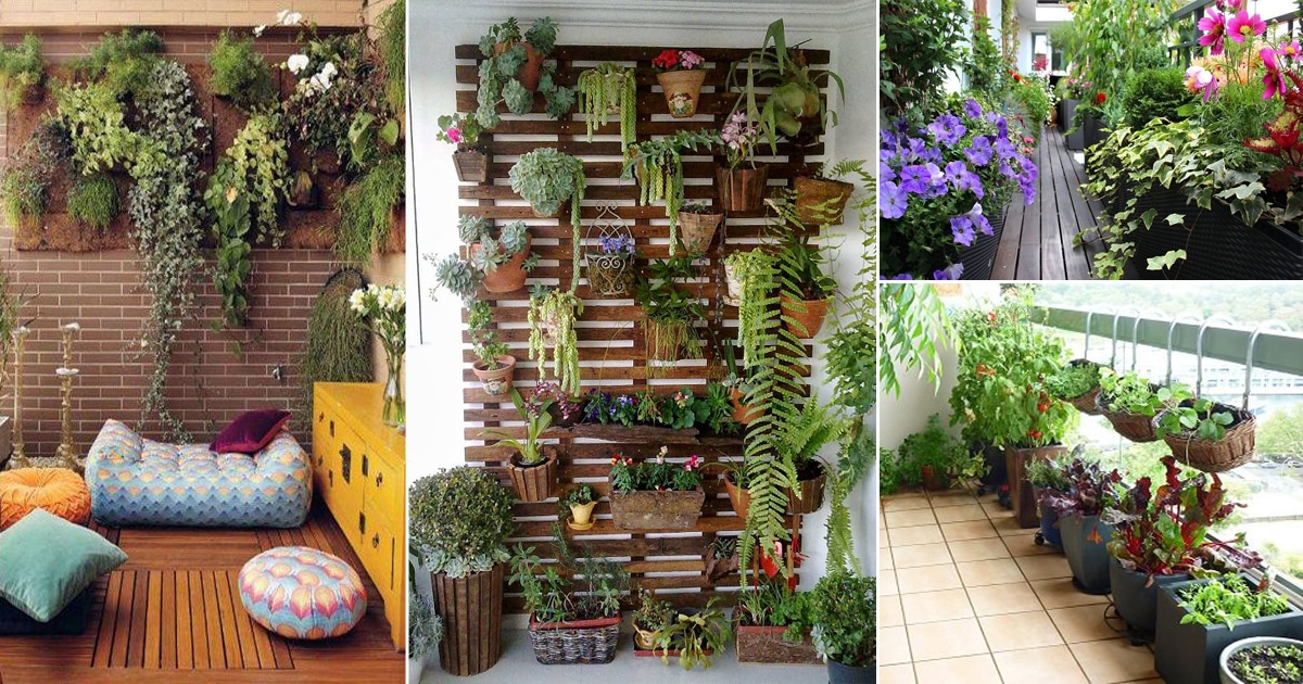 Balcony Garden Ideas