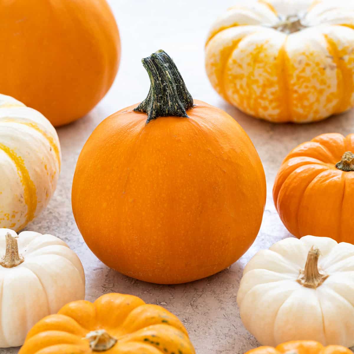 Pumpkin Decorating Ideas