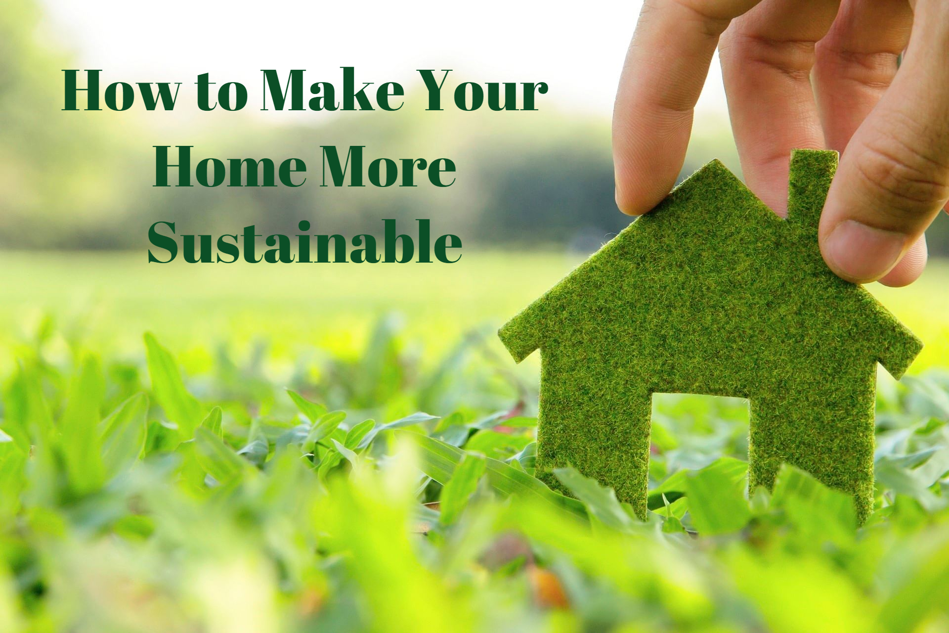 How to Make Your Home More Sustainable