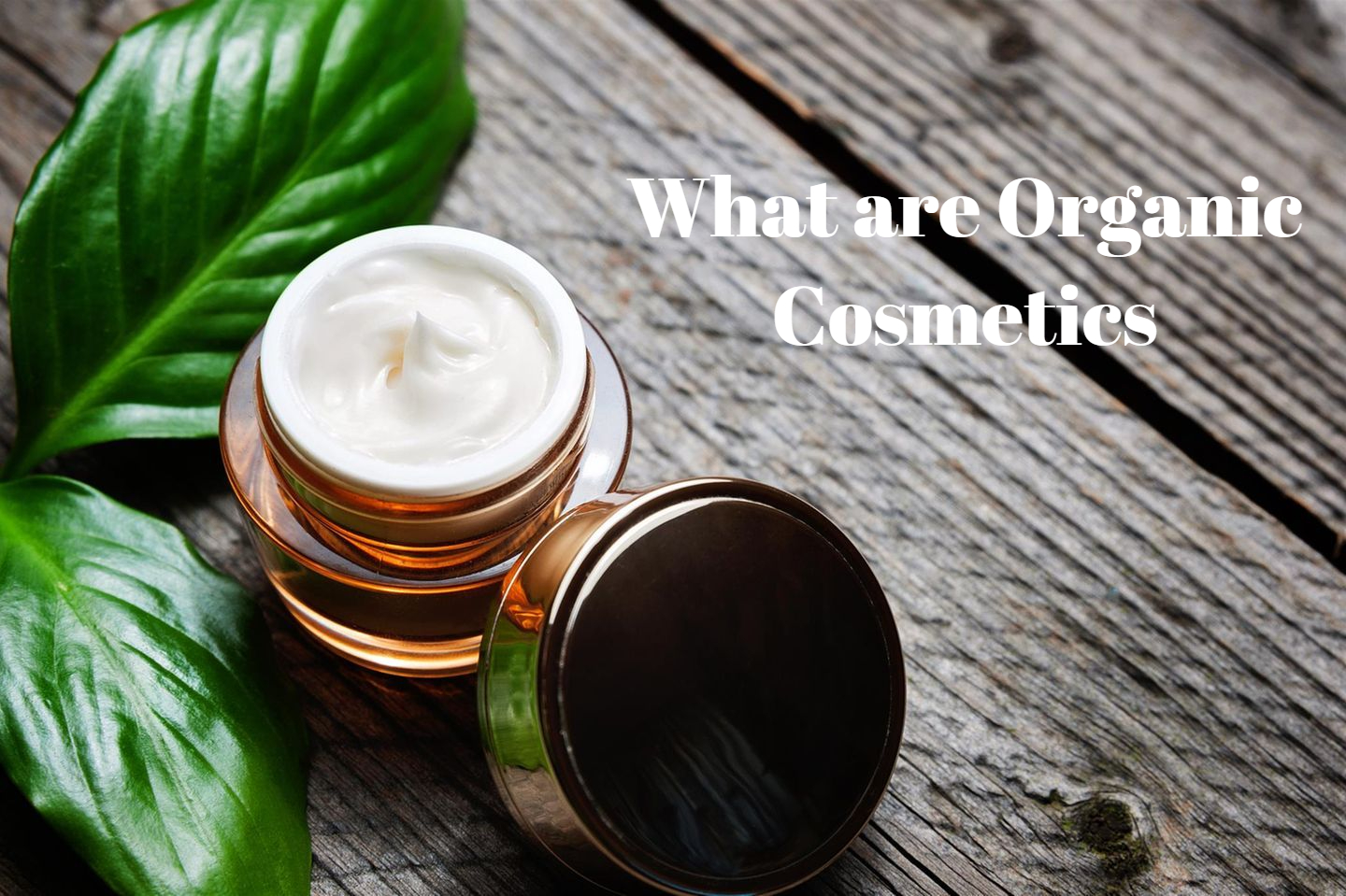 What are Organic Cosmetics