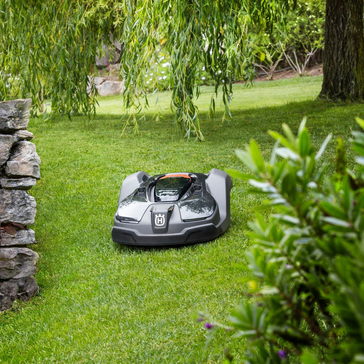 How to Choose a Lawn Mower