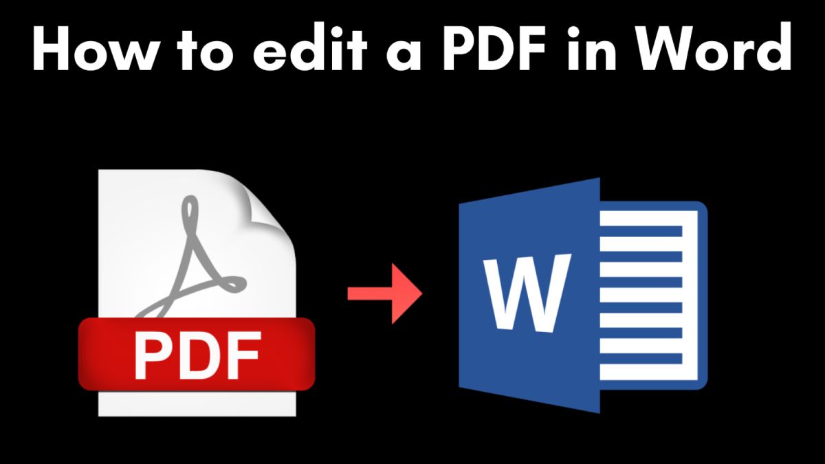 Convert PDF to Word Online for Free