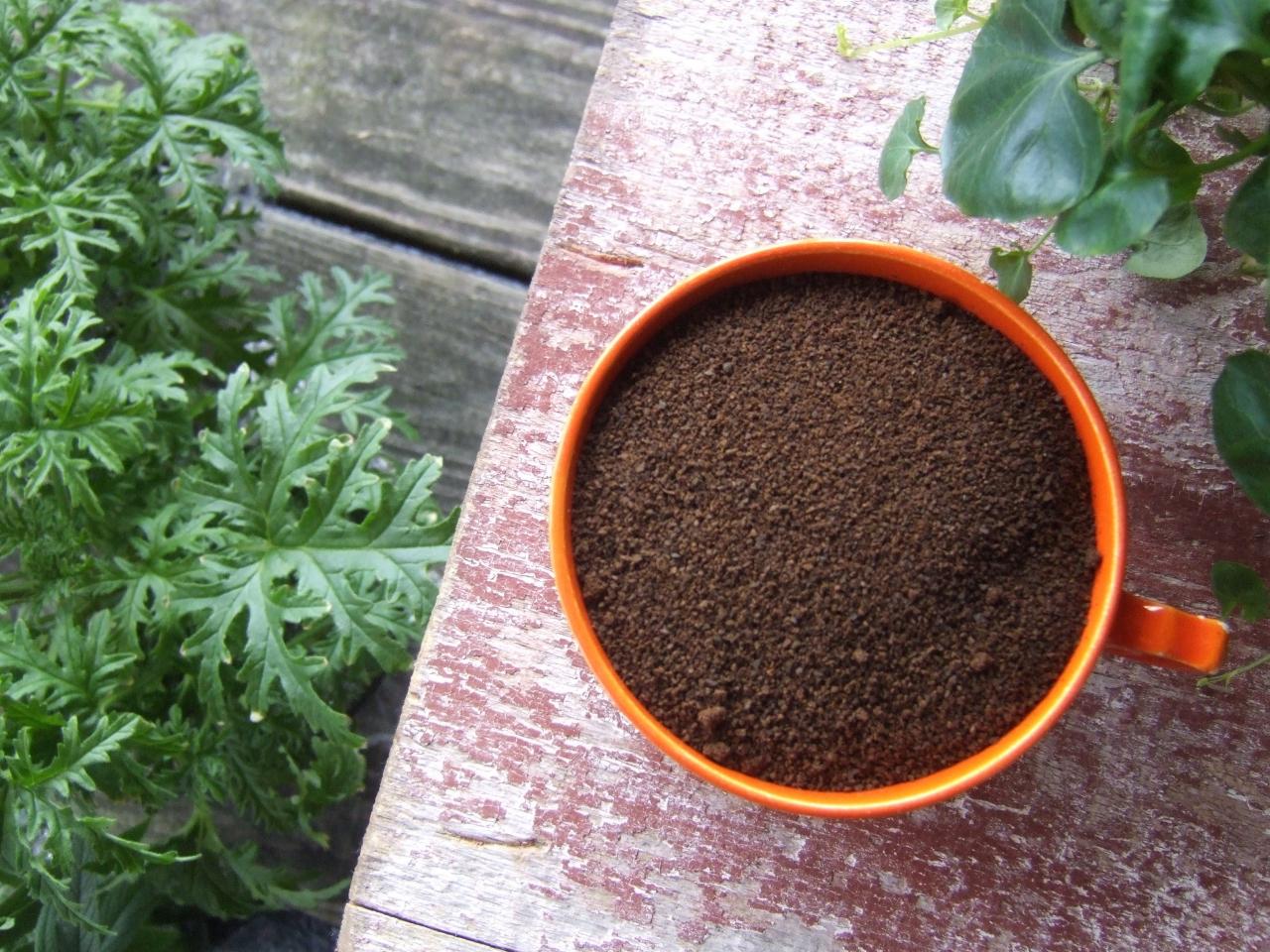 Homemade Fertilizer with Coffee