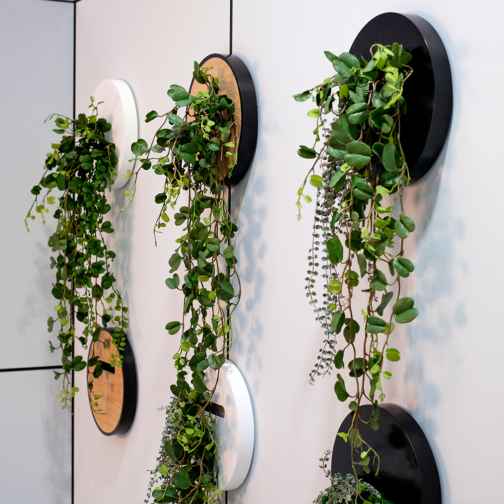 Vertical Garden Ideas