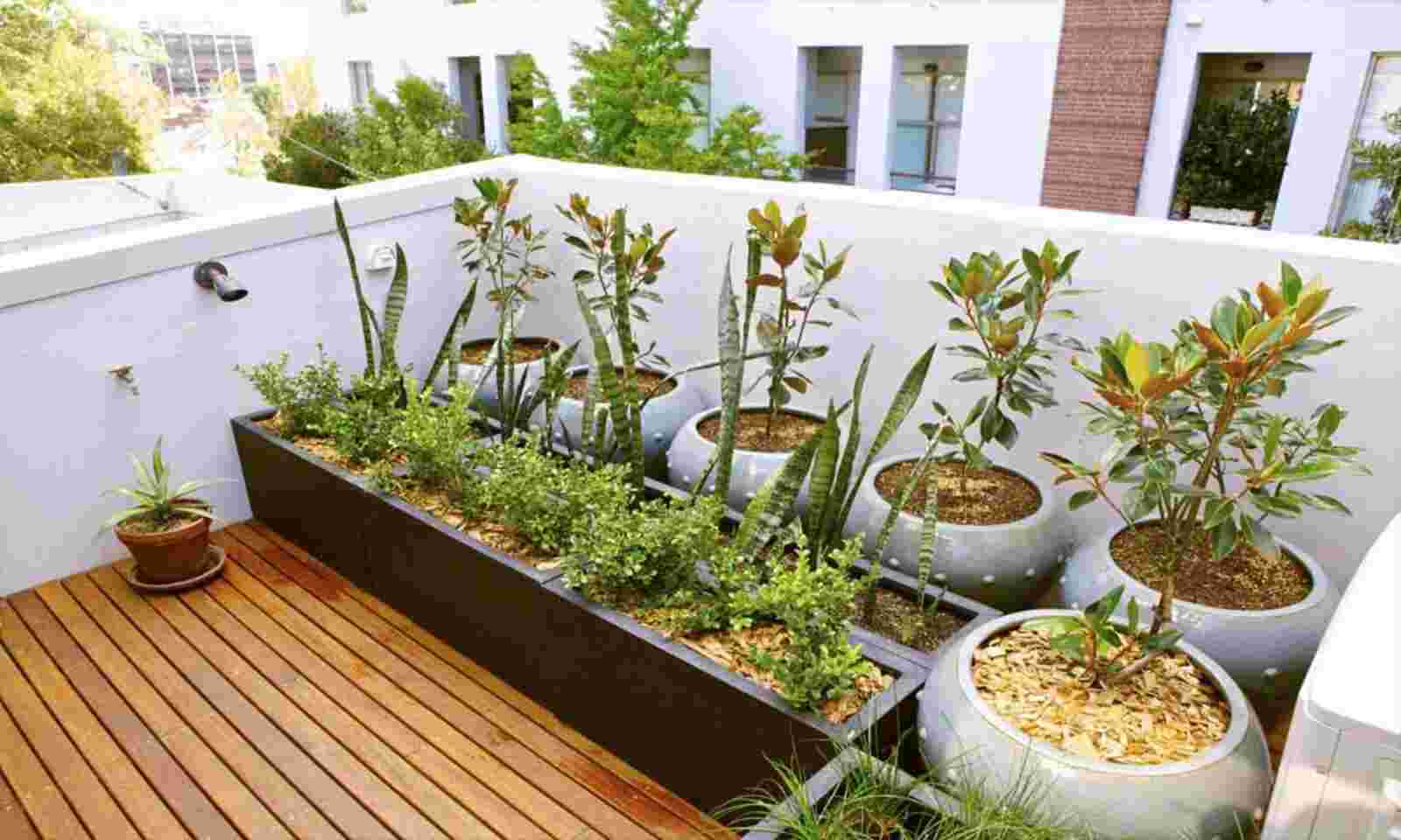 Small Terrace with Garden