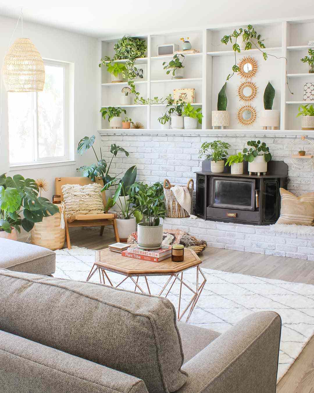 Home Décor with Plants