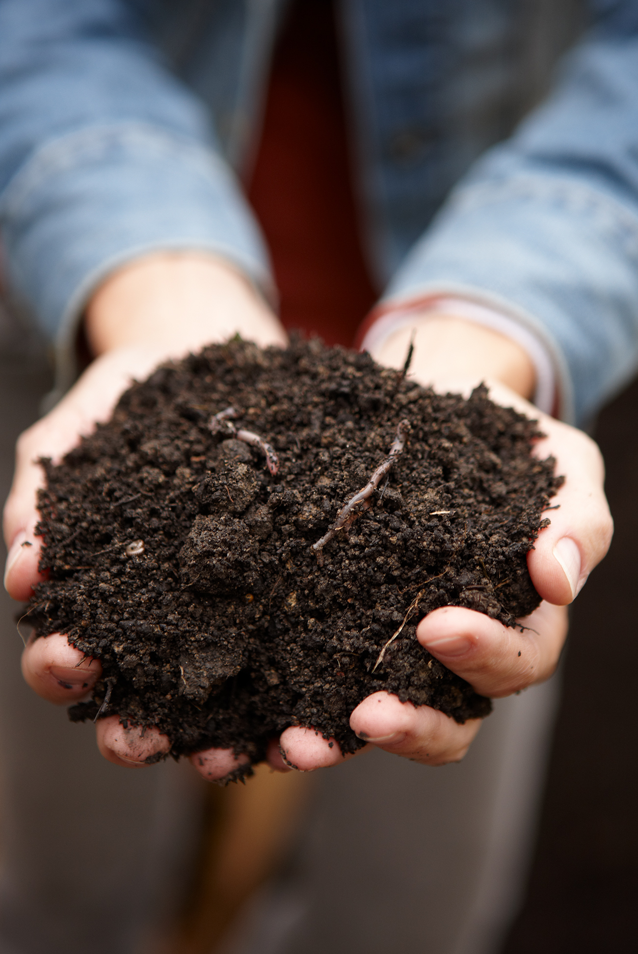 How to Make Compost for The Garden