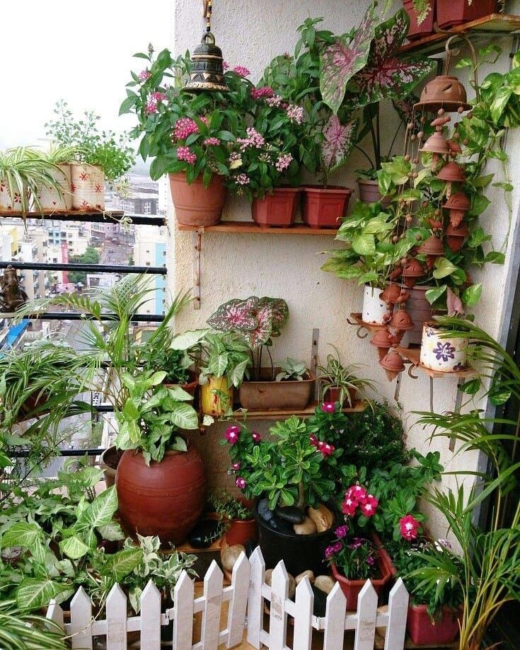 Terrace Garden Ideas