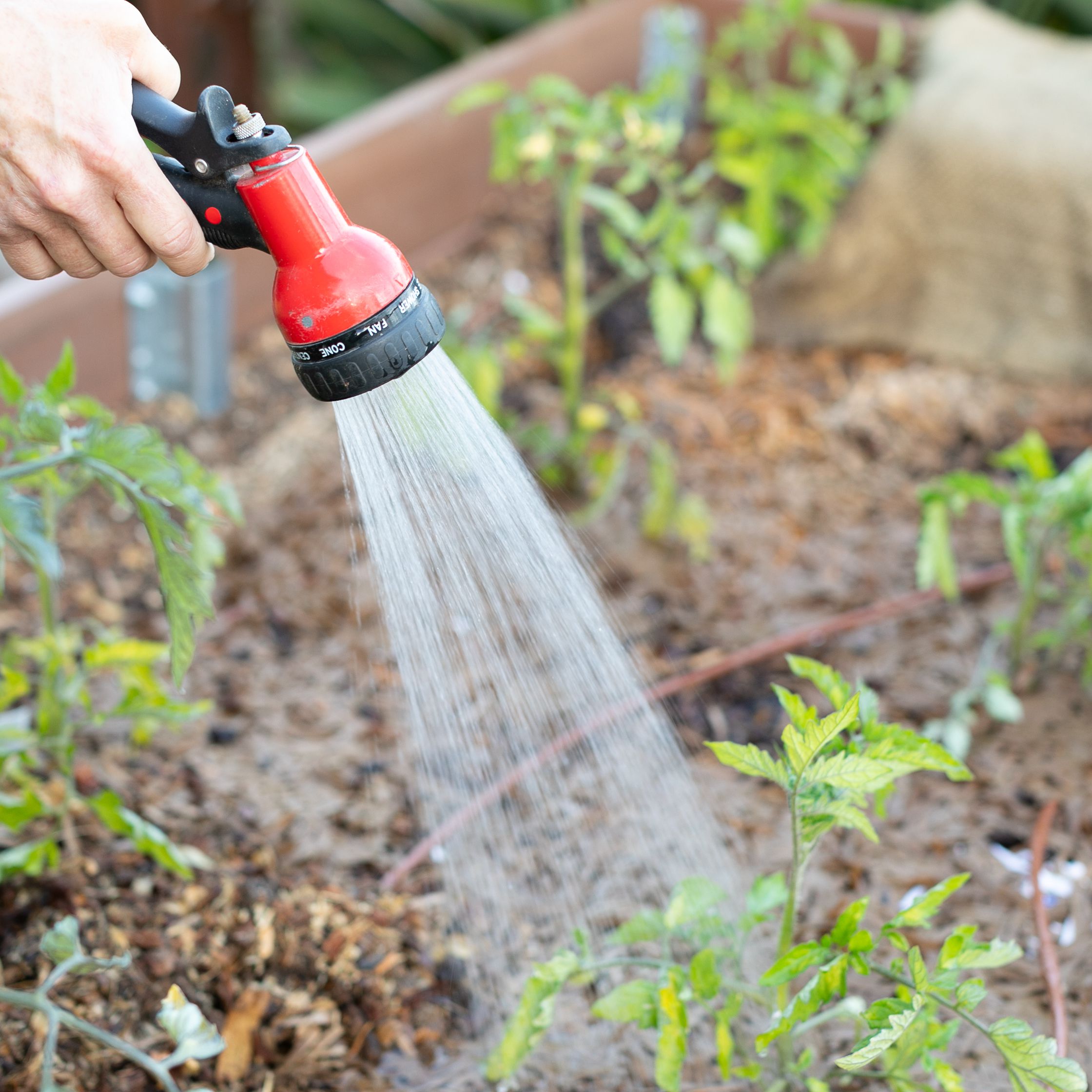 Water Saving Ideas for Plants