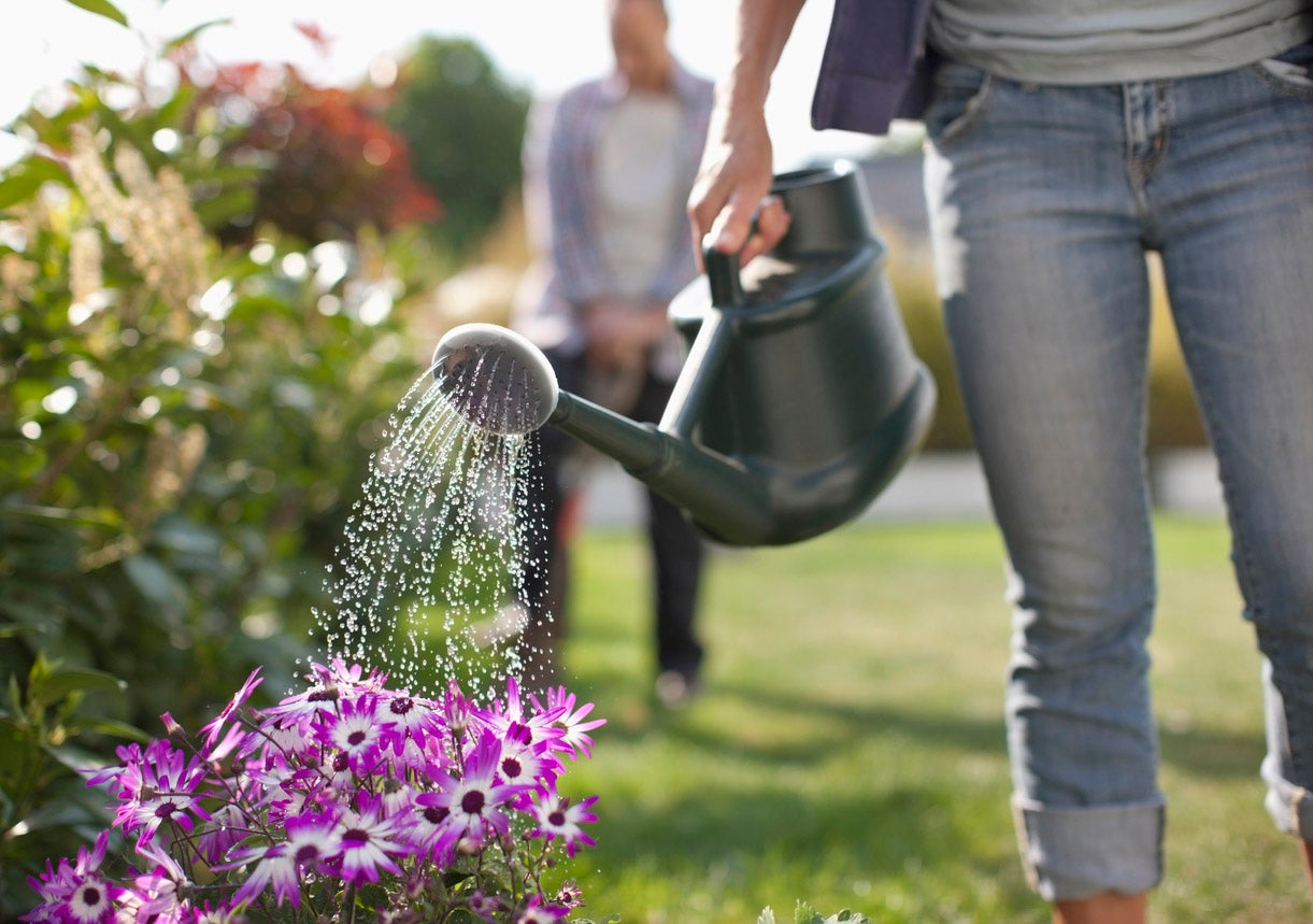 Water Saving Ideas for Plants