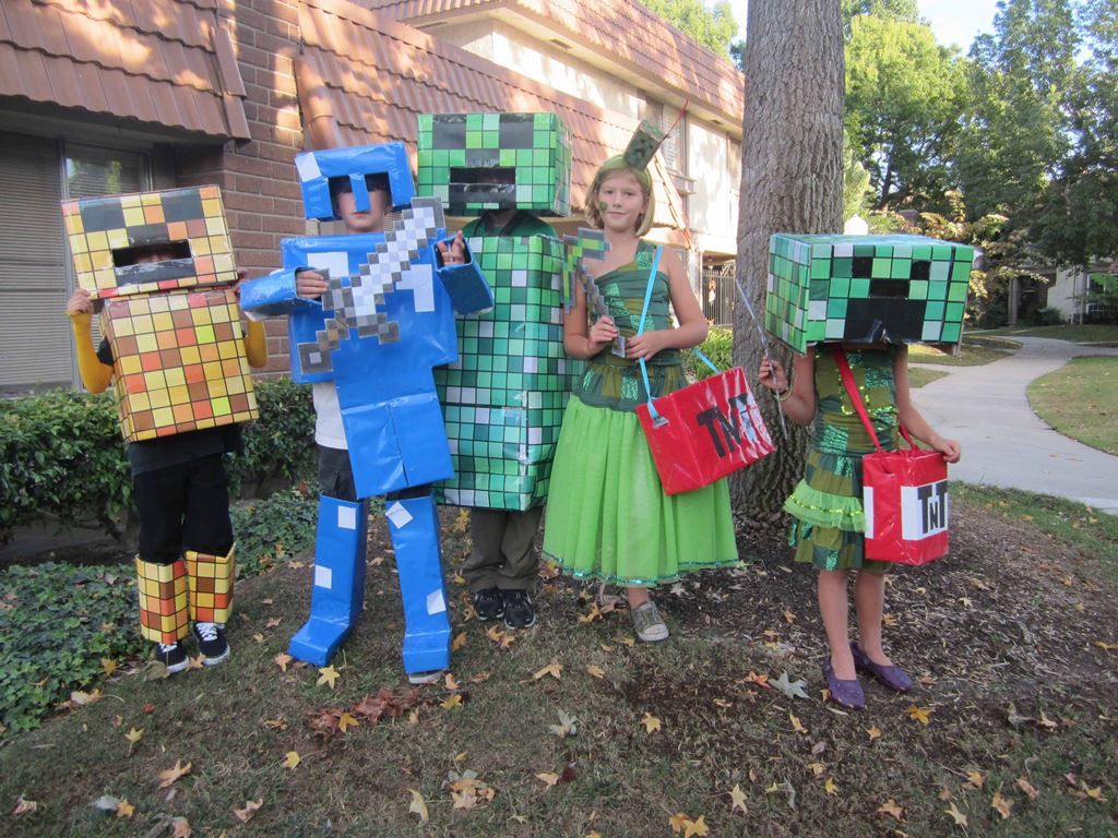 Minecraft Costume Ideas