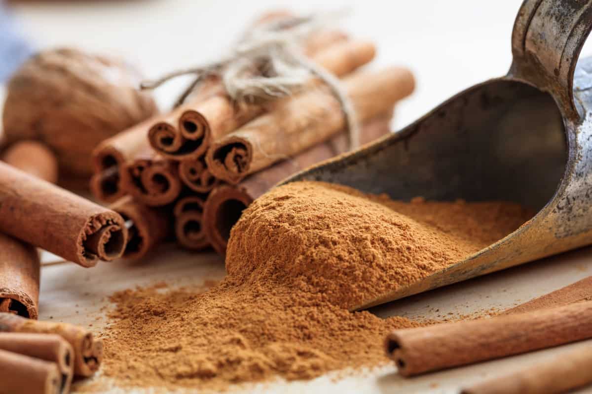 How to Use Cinnamon for Plants
