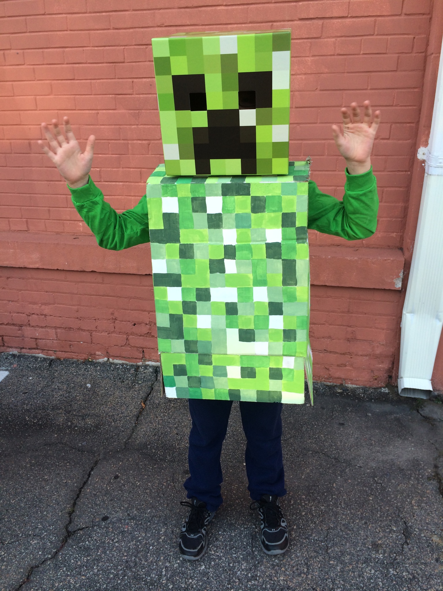 Minecraft Costume Ideas