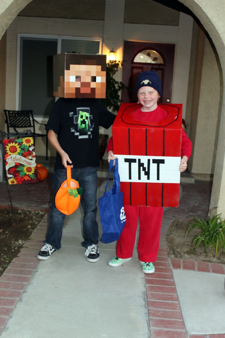 Minecraft Costume Ideas