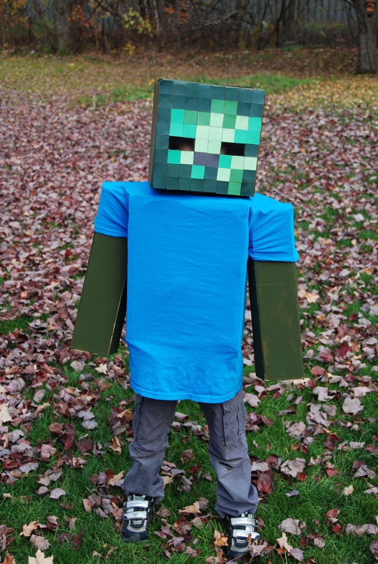 Minecraft Costume Ideas