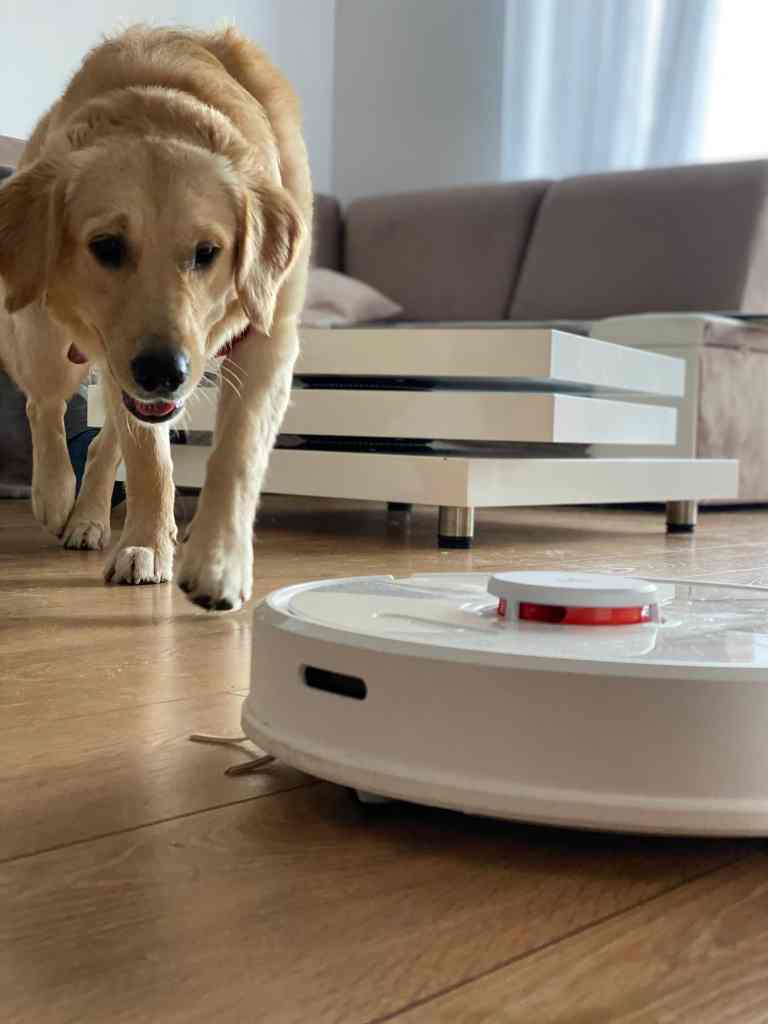 Pros and Cons of Robot Vacuum Cleaner