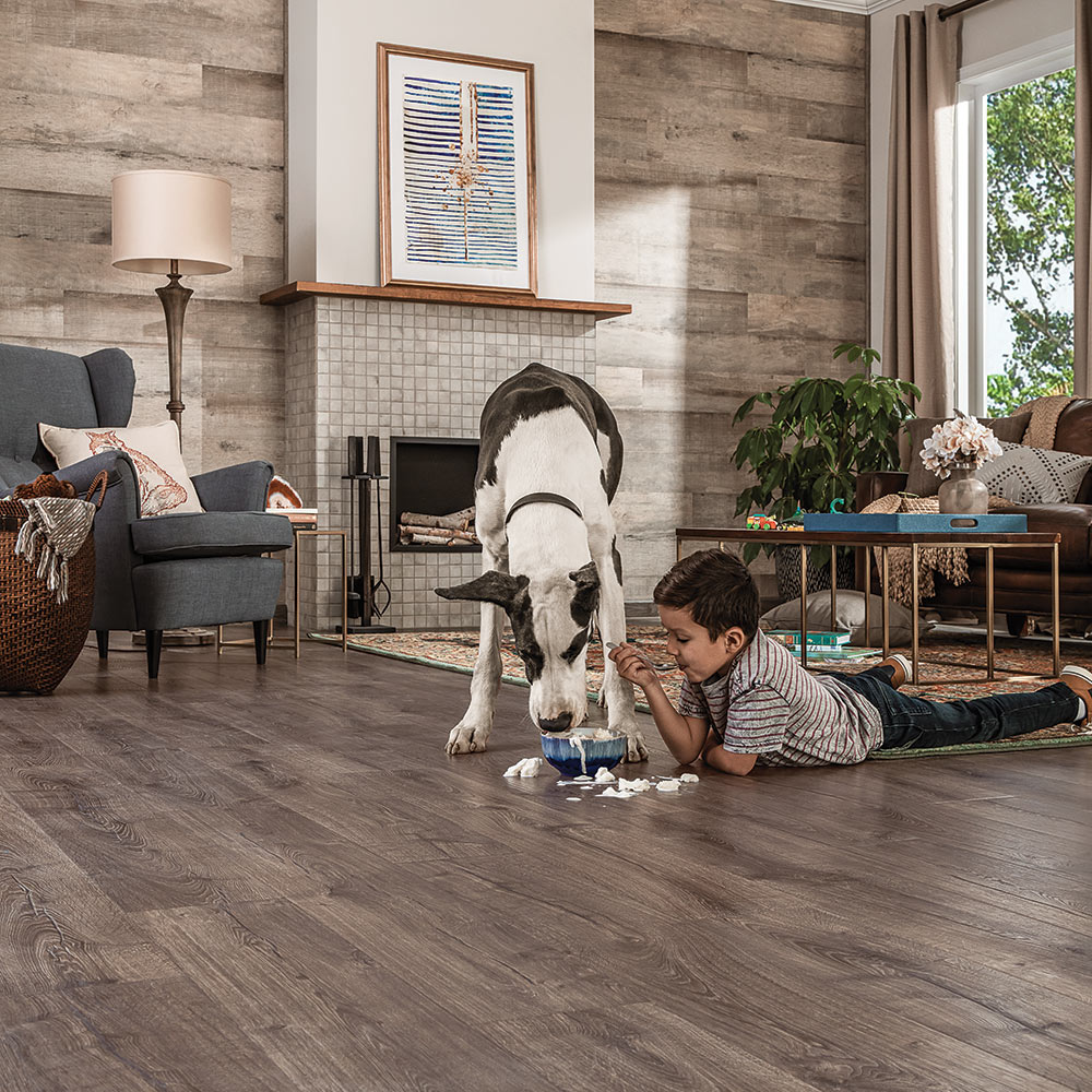 Flooring Options for Pets