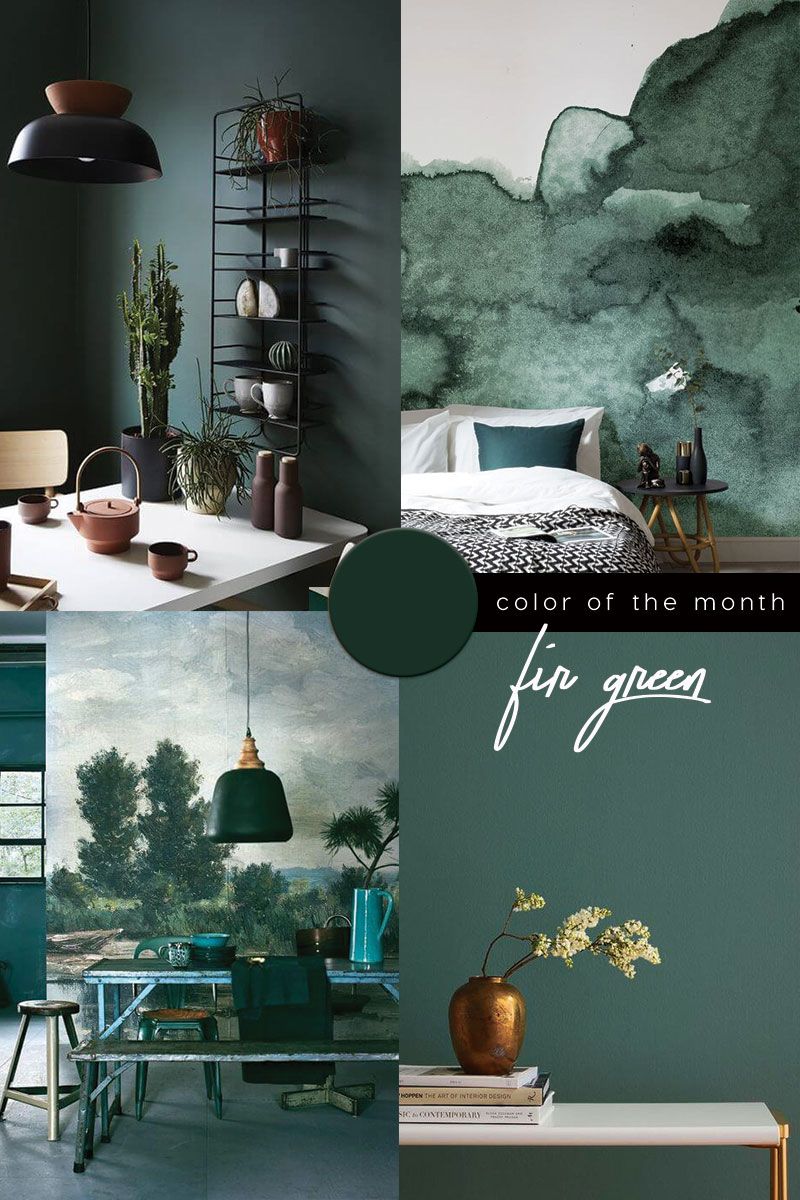 Feng Shui Colors for Home