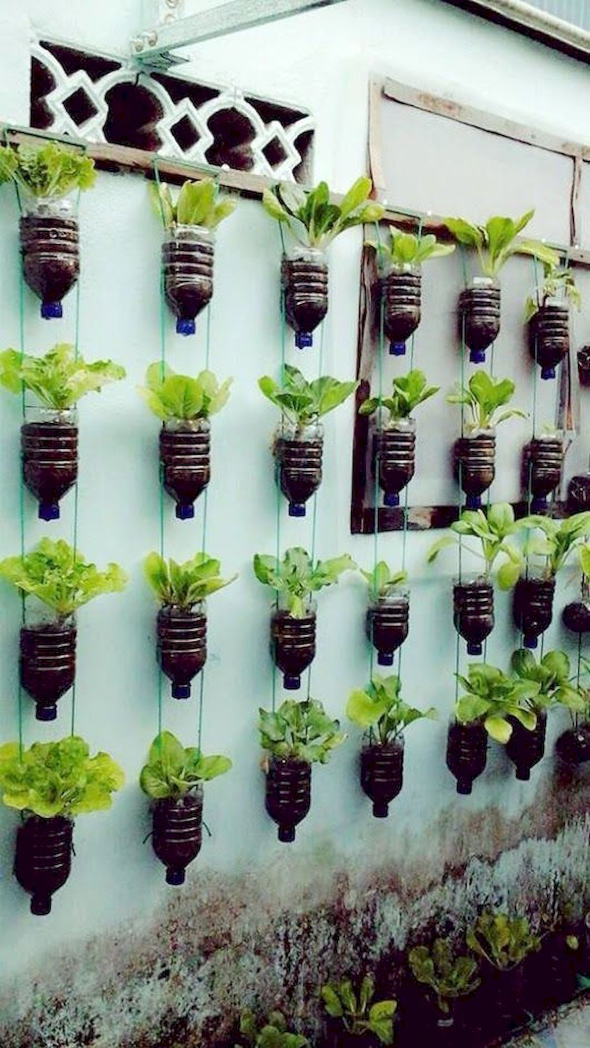 Mini Home Garden Ideas