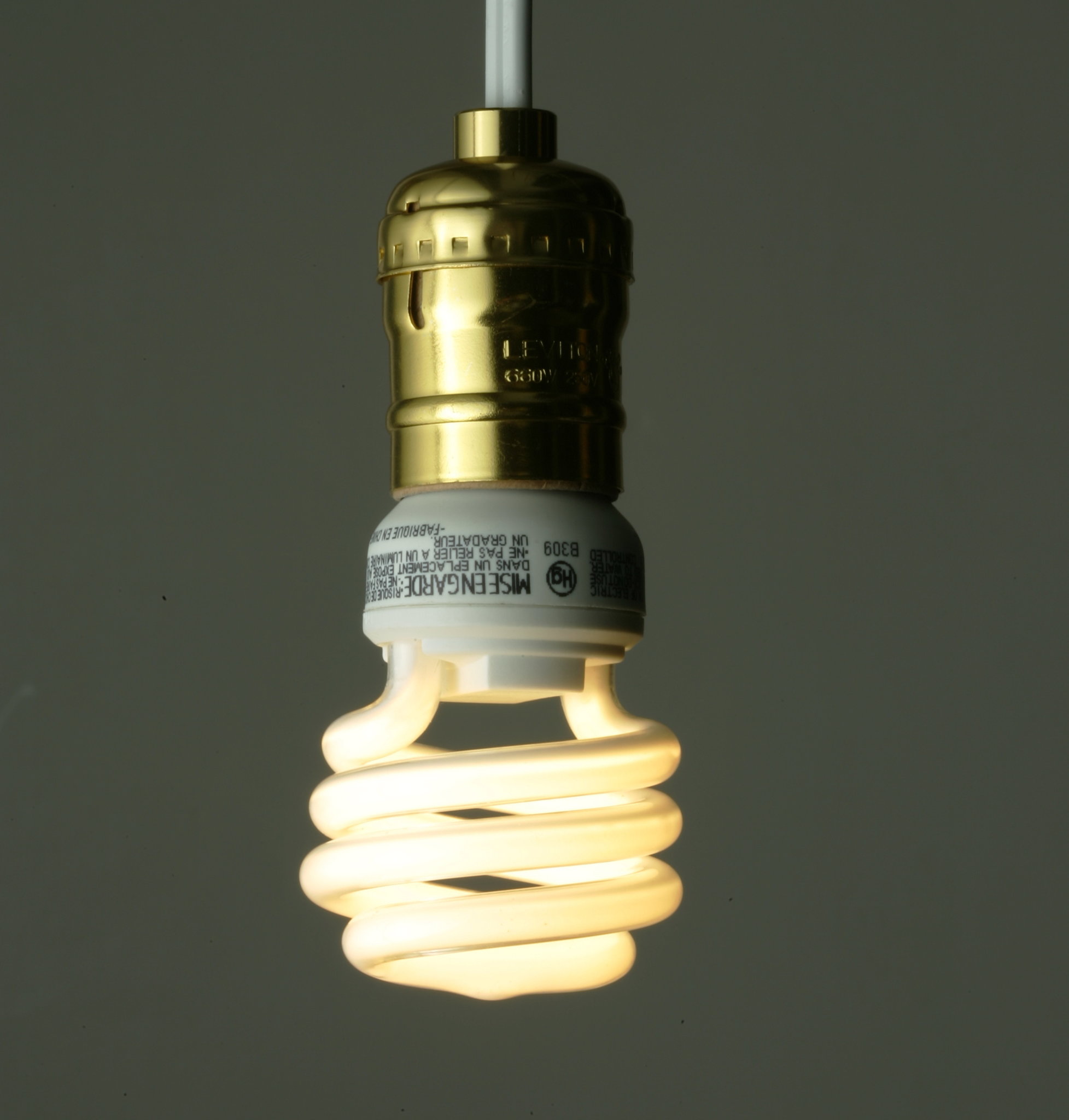 Types of Light Bulbs