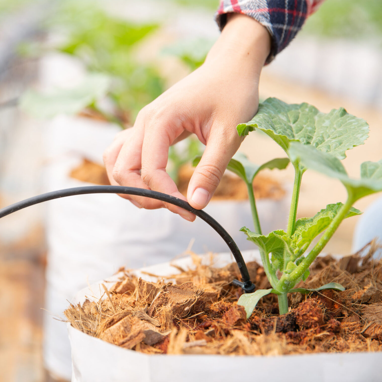 How to Install an Automatic Garden Irrigation System