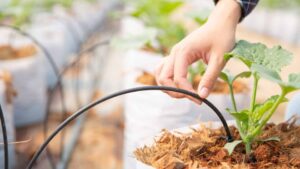 How to Install an Automatic Garden Irrigation System