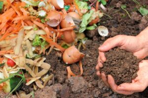How to Make Compost at Home in Easy Steps
