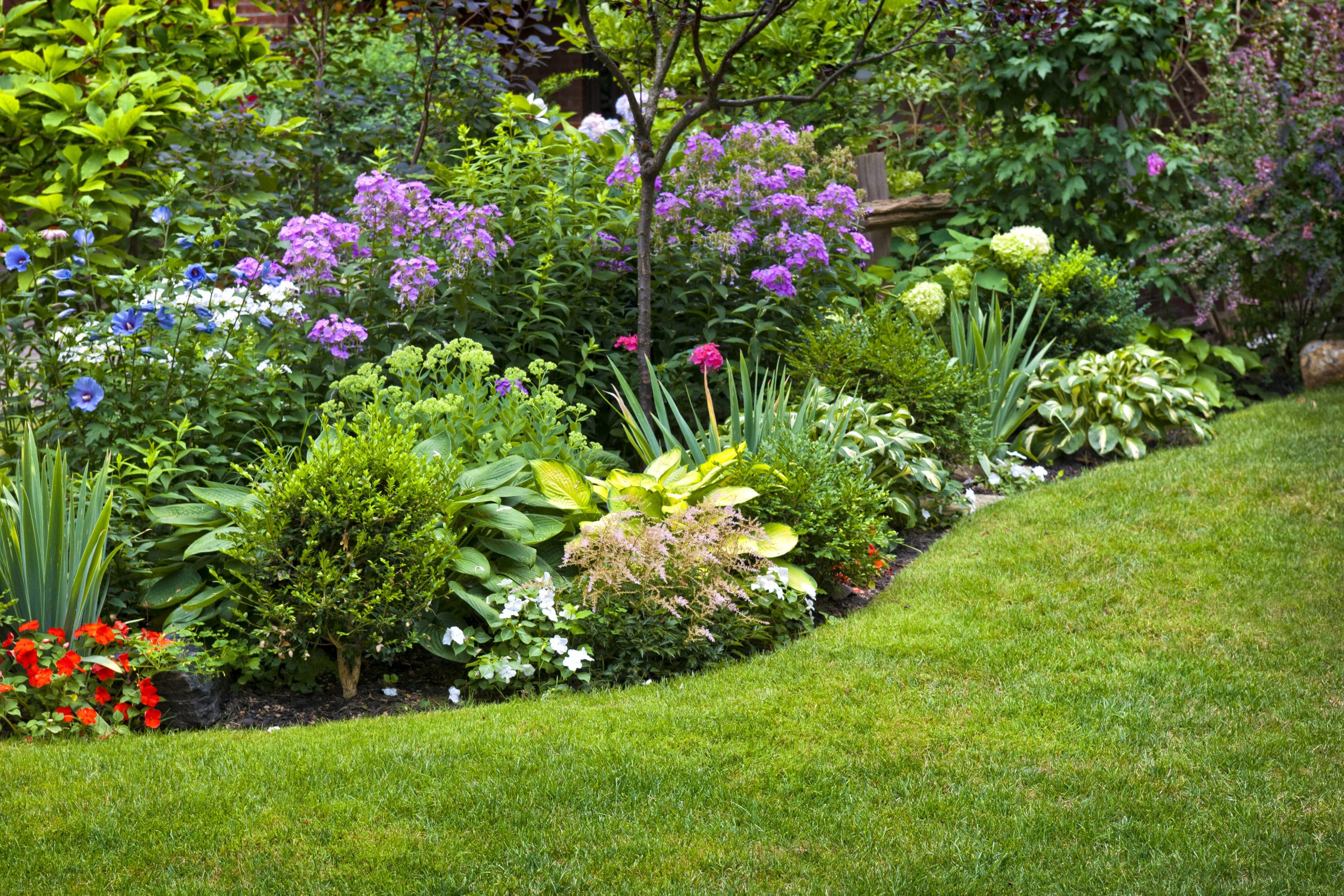 How to Create a Beautiful Garden