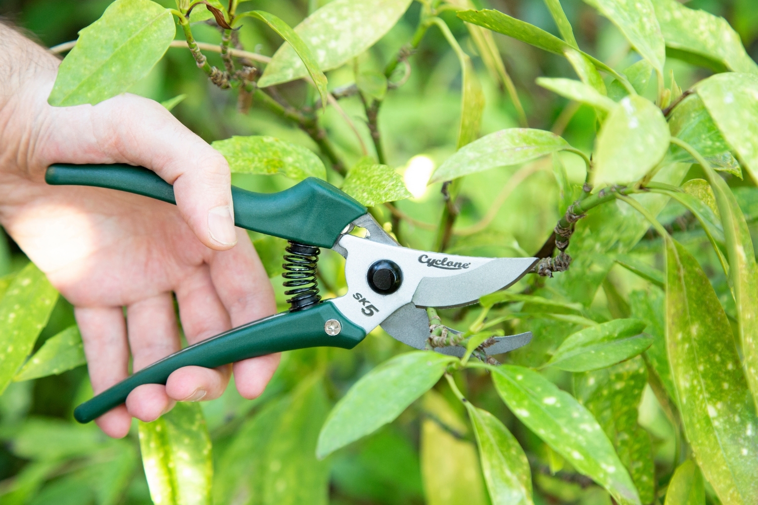 Gardening Tools