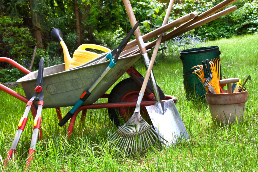 Prepare Garden for Winter