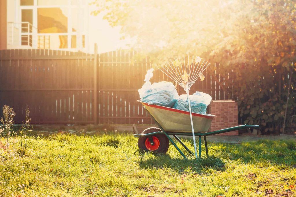 Prepare Garden for Winter